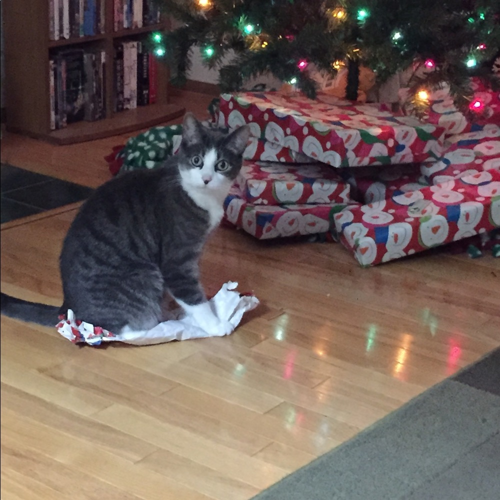 Meet your Posher, Kelcey